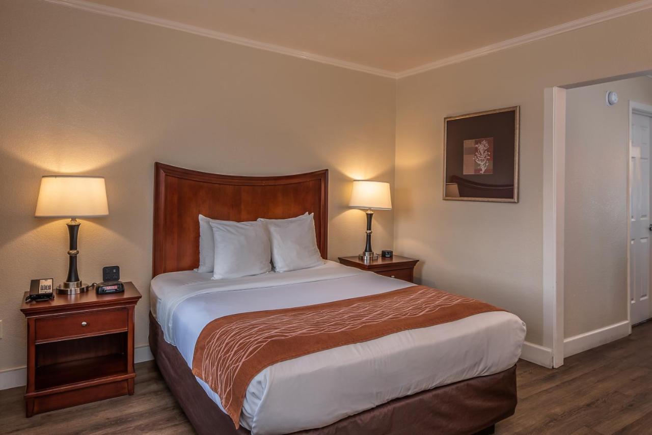 Blu Pacific Monterey