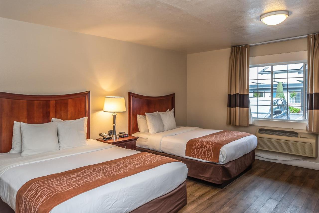 Blu Pacific Motel 3*