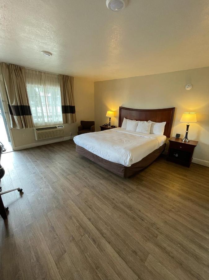 Motel Blu Pacific 3*